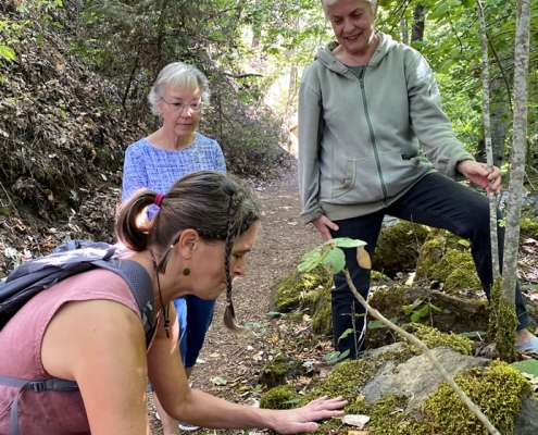 Nature & Forest Therapy Guiding