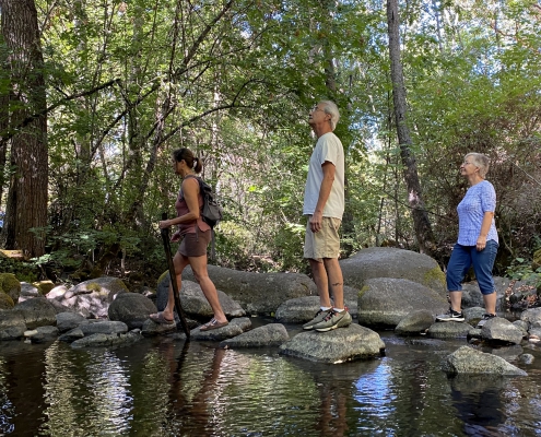 Nature & Forest Therapy - Forest Bathing Ashland